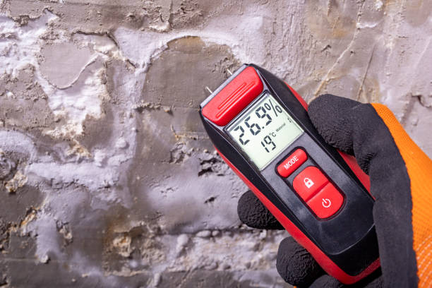 Best Mold Inspection  in Taneytown, MD