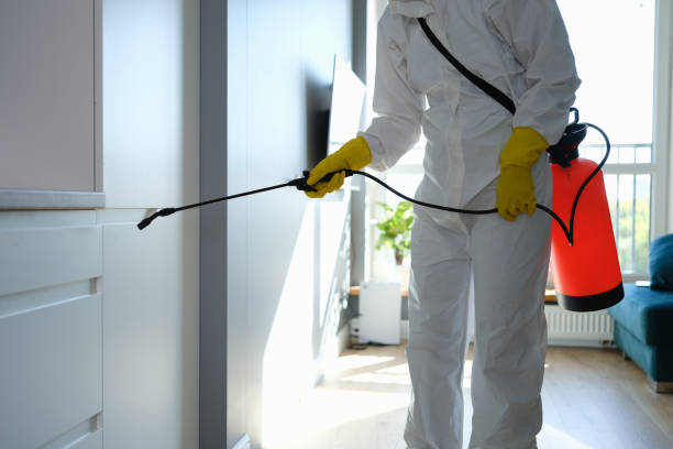 Best Residential Mold Removal  in Taneytown, MD