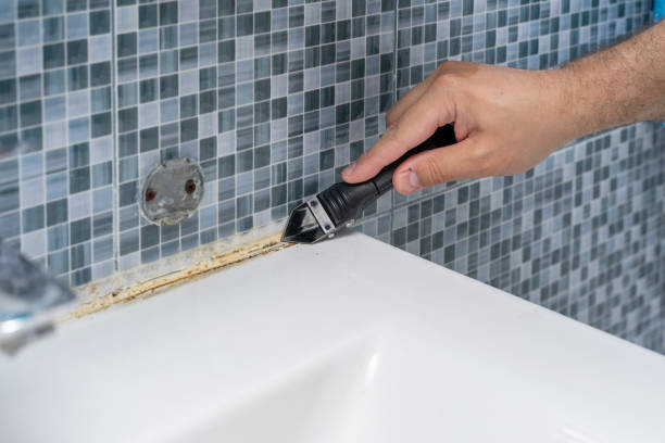 Best Residential Mold Removal  in Taneytown, MD