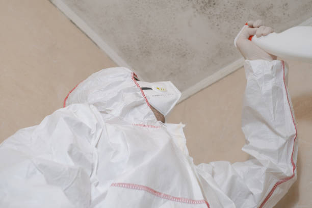 Best Best Mold Removal Companies  in Taneytown, MD